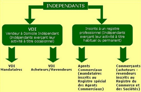 VDI : quel est son statut ?