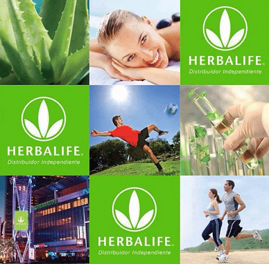 Nouvelle carrière : pourquoi opter pour Herbalife