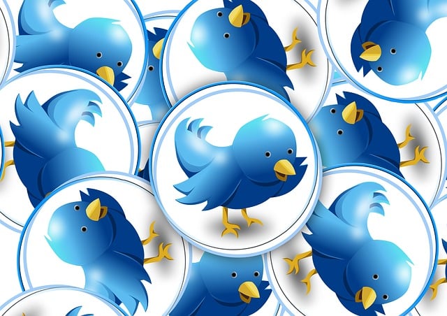 Comment augmenter ses prospects MLM sur twitter ?